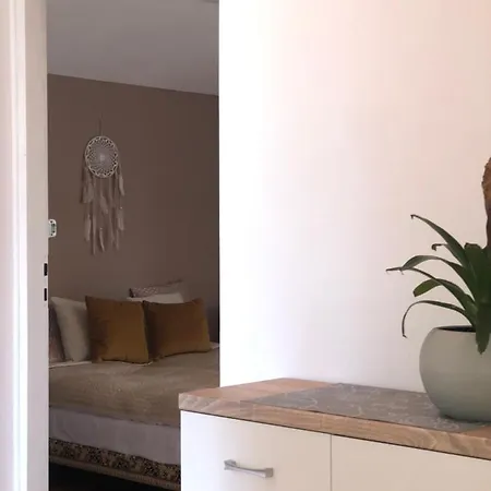 Lapacz Snow * ティリチ