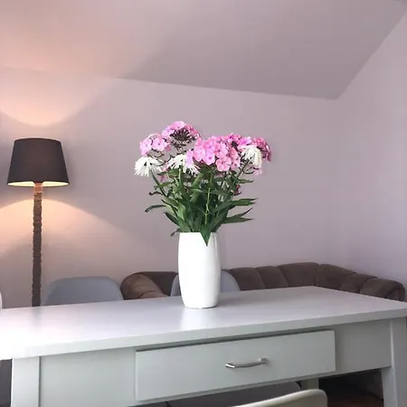 Lapacz Snow ホームステイ