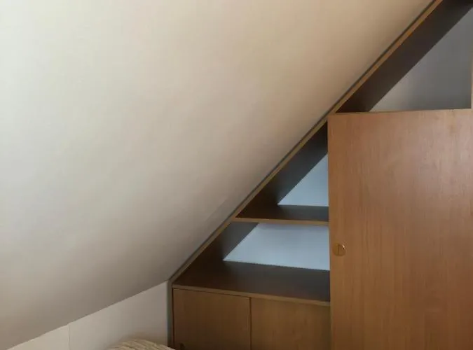 Lapacz Snow تيلسز