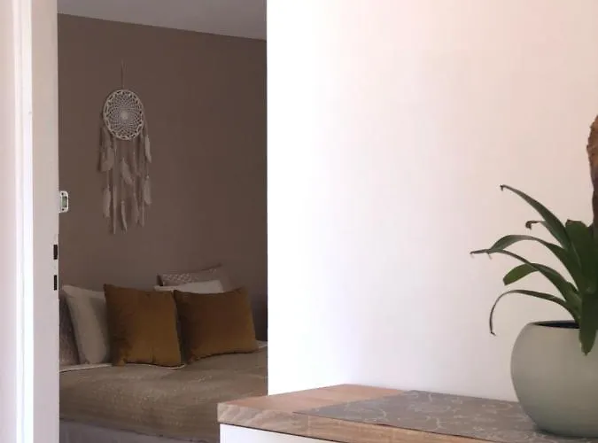 Lapacz Snow * تيلسز