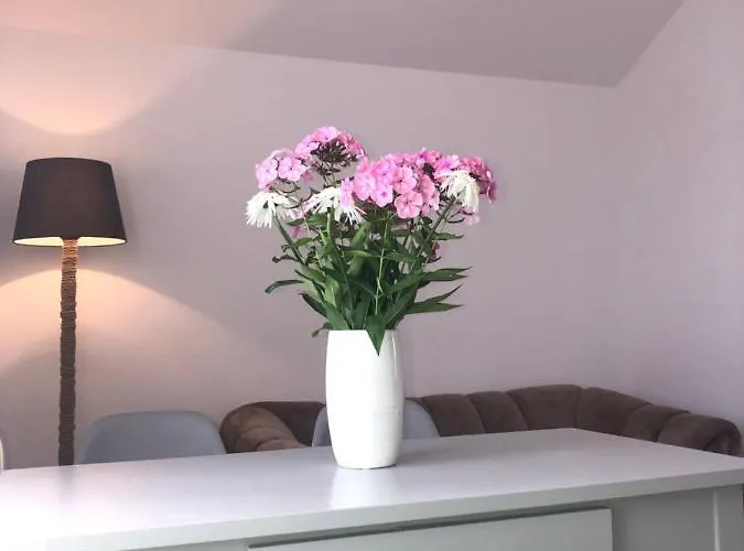 Lapacz Snow منزل للإقامة